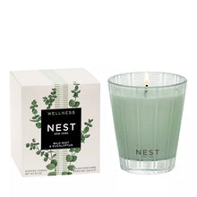 Nest Candle All Scents